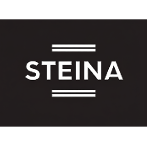 Image Steina